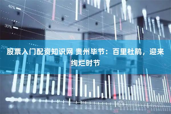 股票入门配资知识网 贵州毕节：百里杜鹃，迎来绚烂时节